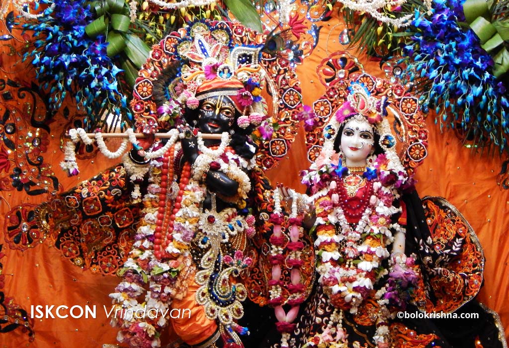 shri krishna with radha rani in iskcon temple vrindavan. image source: bolokrishna.com